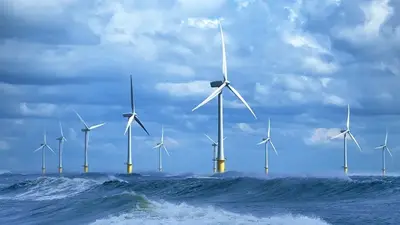 Gökçeada'da Deniz Üstü Rüzgar Türbinleri: Temiz Enerji mi, Ekolojik Risk mi?