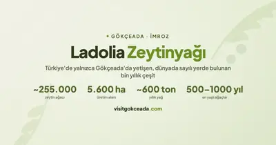 Gökçeada Ladolia Zeytinyağı: Dünyada Sadece Birkaç Yerde Yetişen Ada Hazinesi