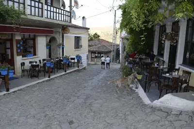 Gökçeada'nın Rum Köyleri: Zamanın Durduğu Taş Köyler Rehberi