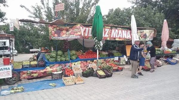 YILMAZ MANAV