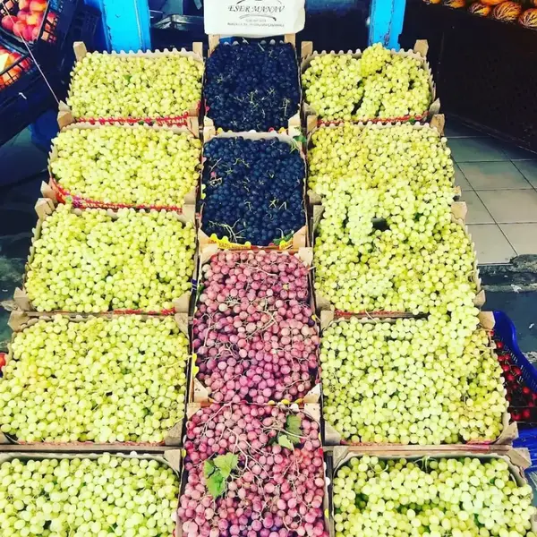 Eser Manav Gökçeada