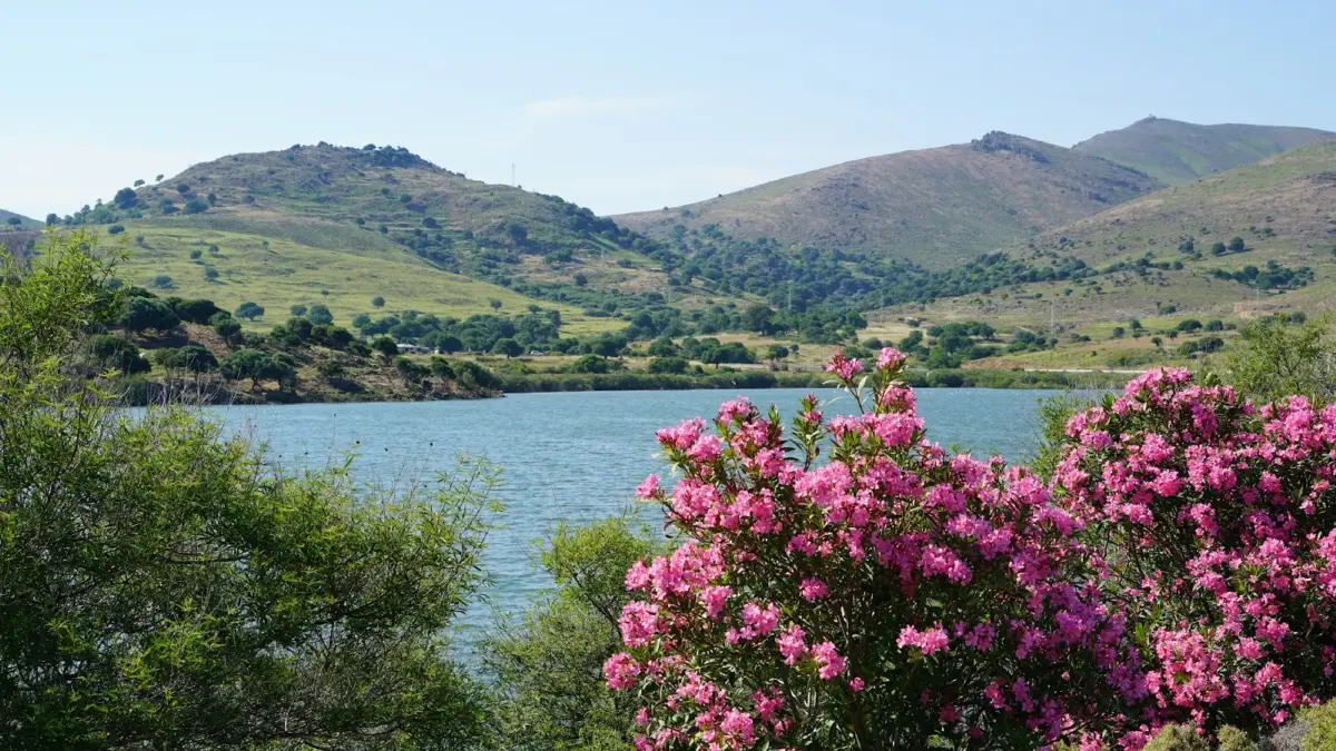 Gökçeada's Flora: The Green Aegean Island with 700+ Species
