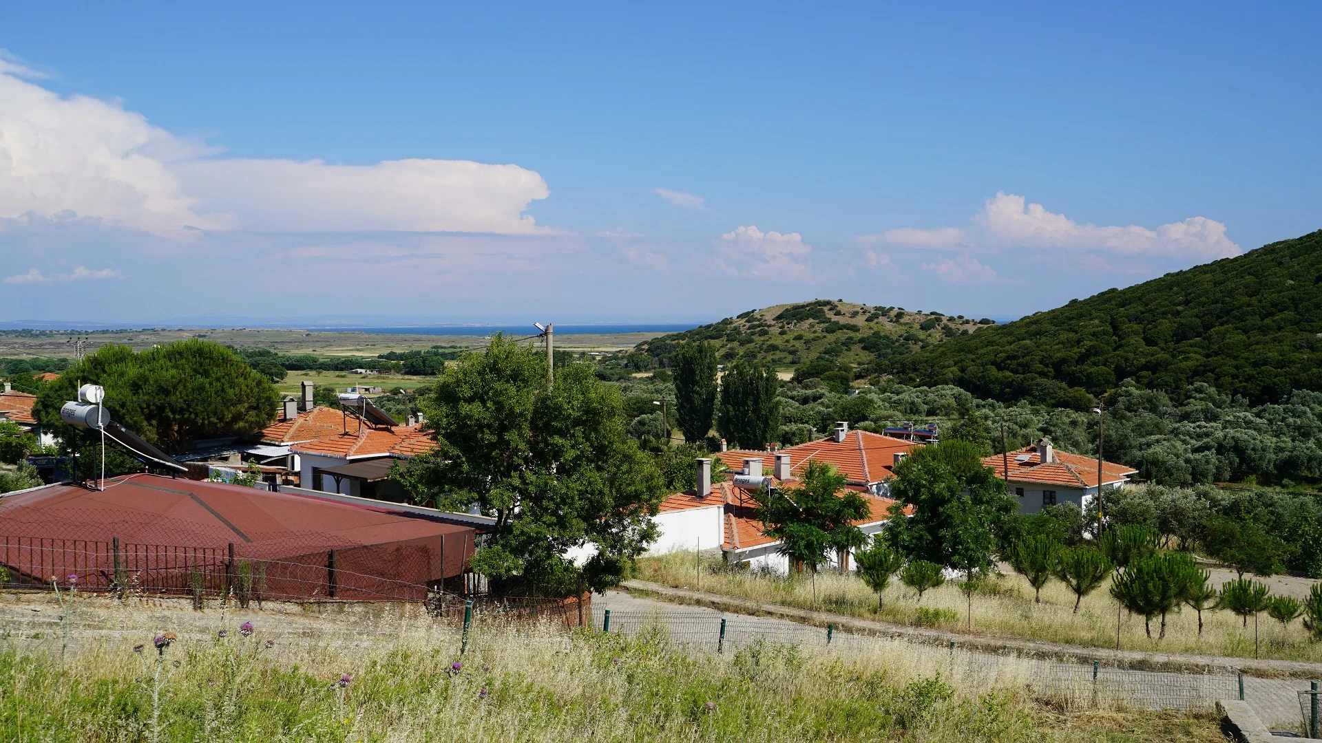 Eşelek Köyü Rehberi: Gökçeada'nın Rüzgârlı Güneyi