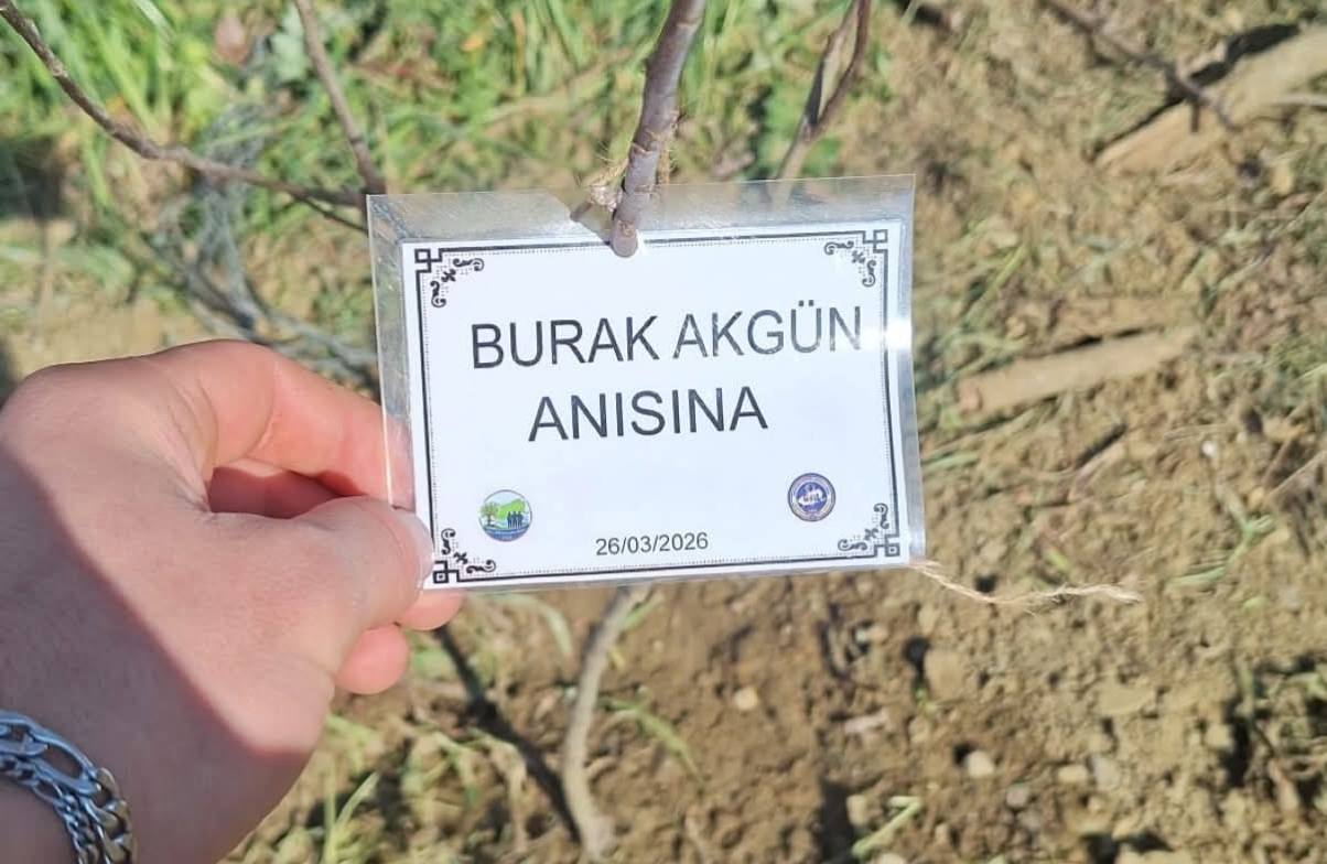 Burak Akgün anısına dikilen fidan