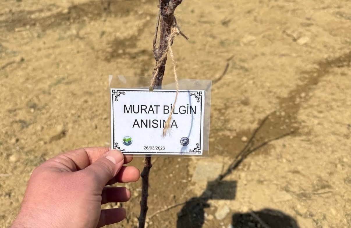 Murat Bilgin anısına dikilen fidan