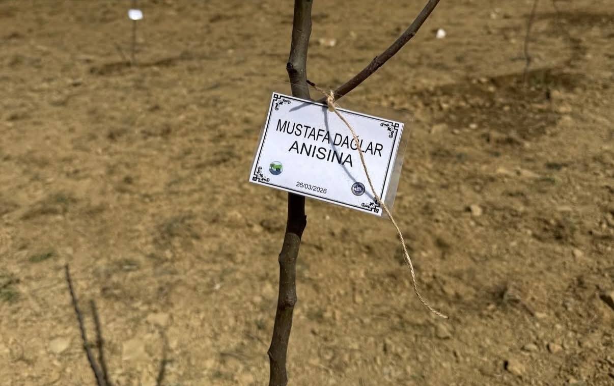 Mustafa Dağlar anısına dikilen fidan