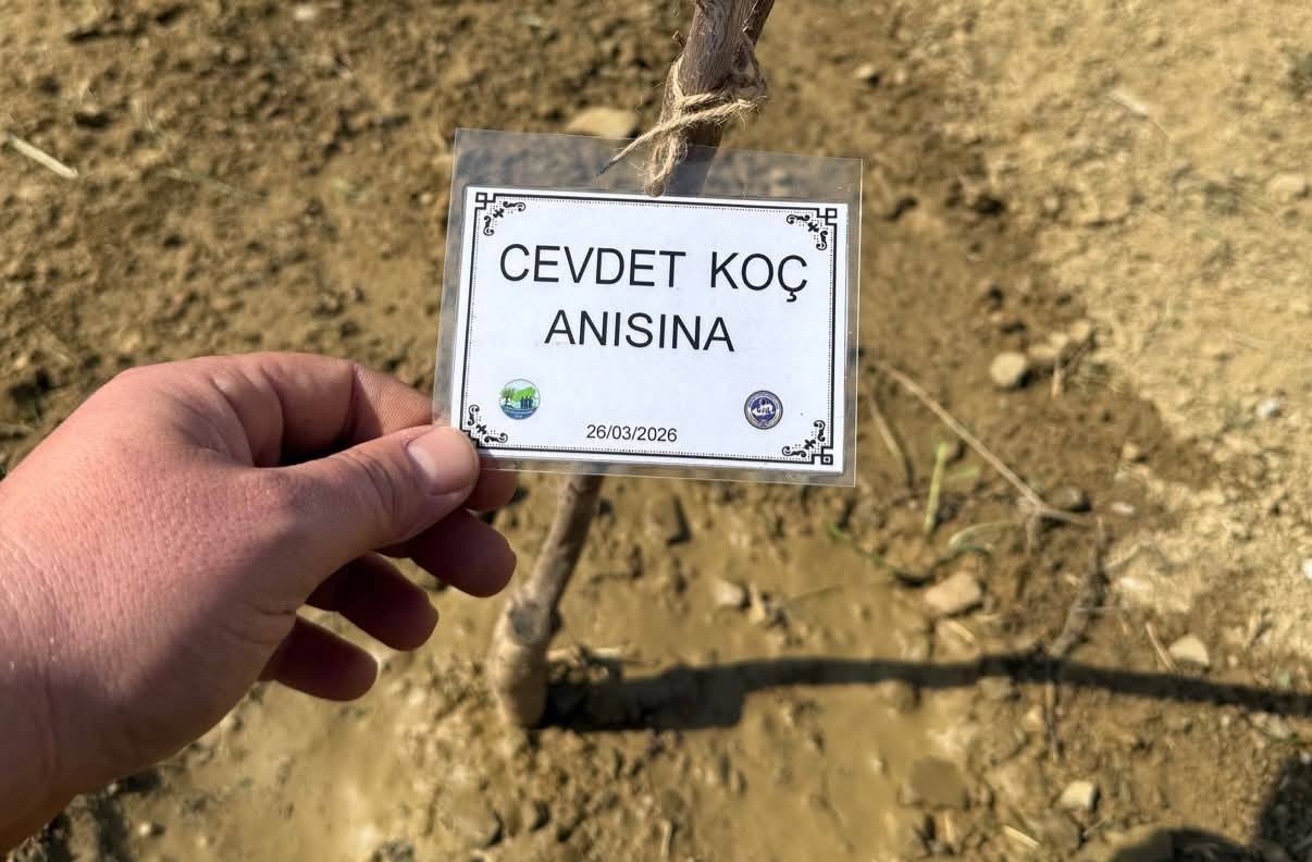 Cevdet Koç anısına dikilen fidan