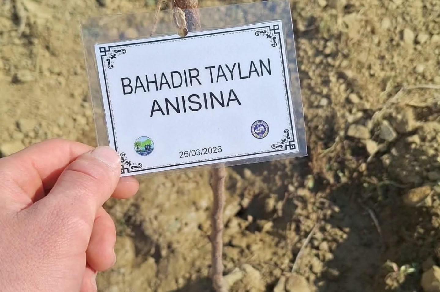 Bahadır Taylan anısına dikilen fidan