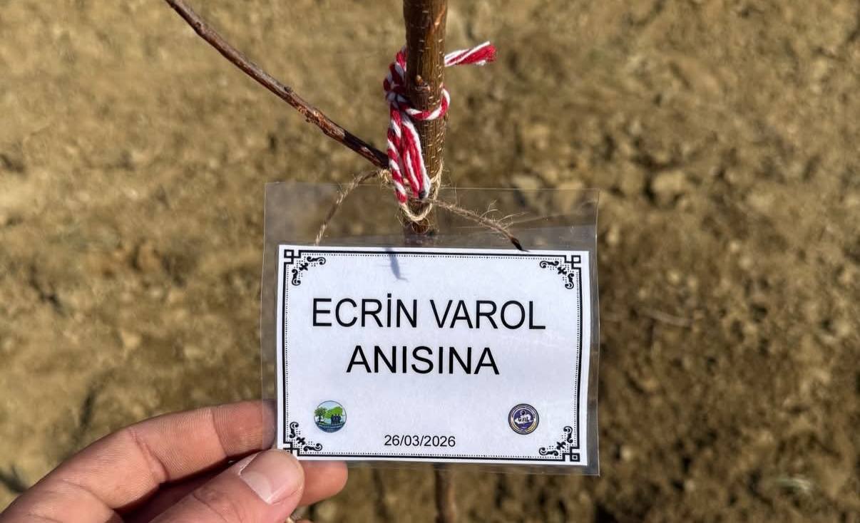 Ecrin Varol anısına dikilen fidan