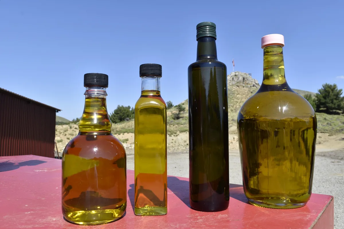 Gökçeada zeytinyağı