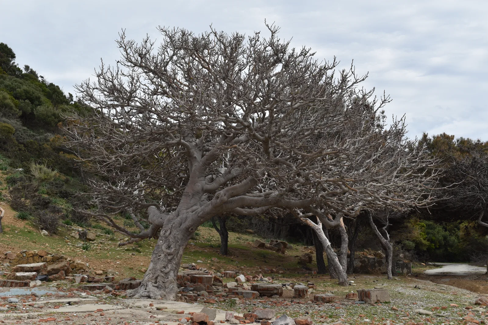 Gökçeada Marmaros Plajı - deniz manzarası
