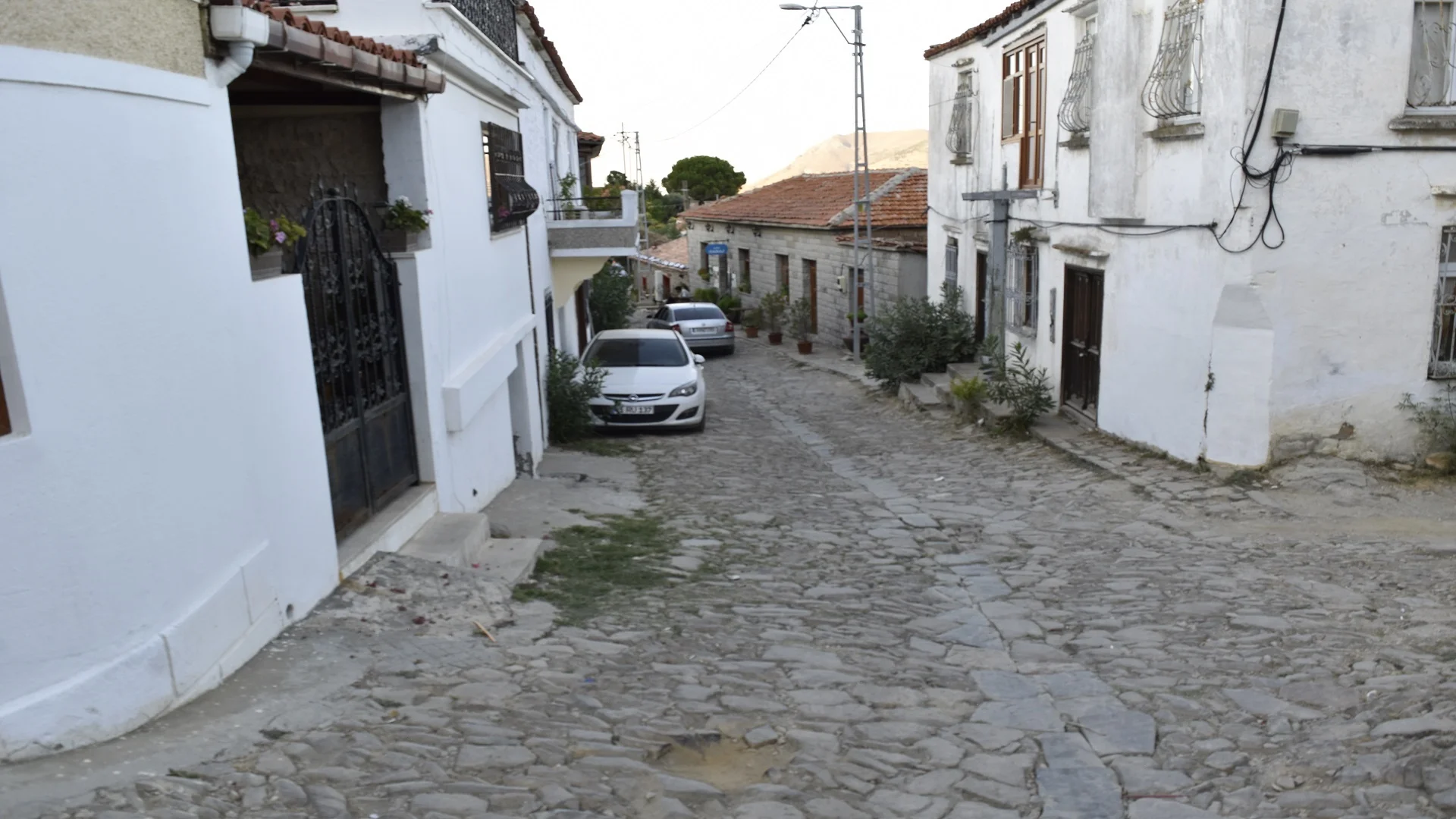 Gökçeada Zeytinliköy