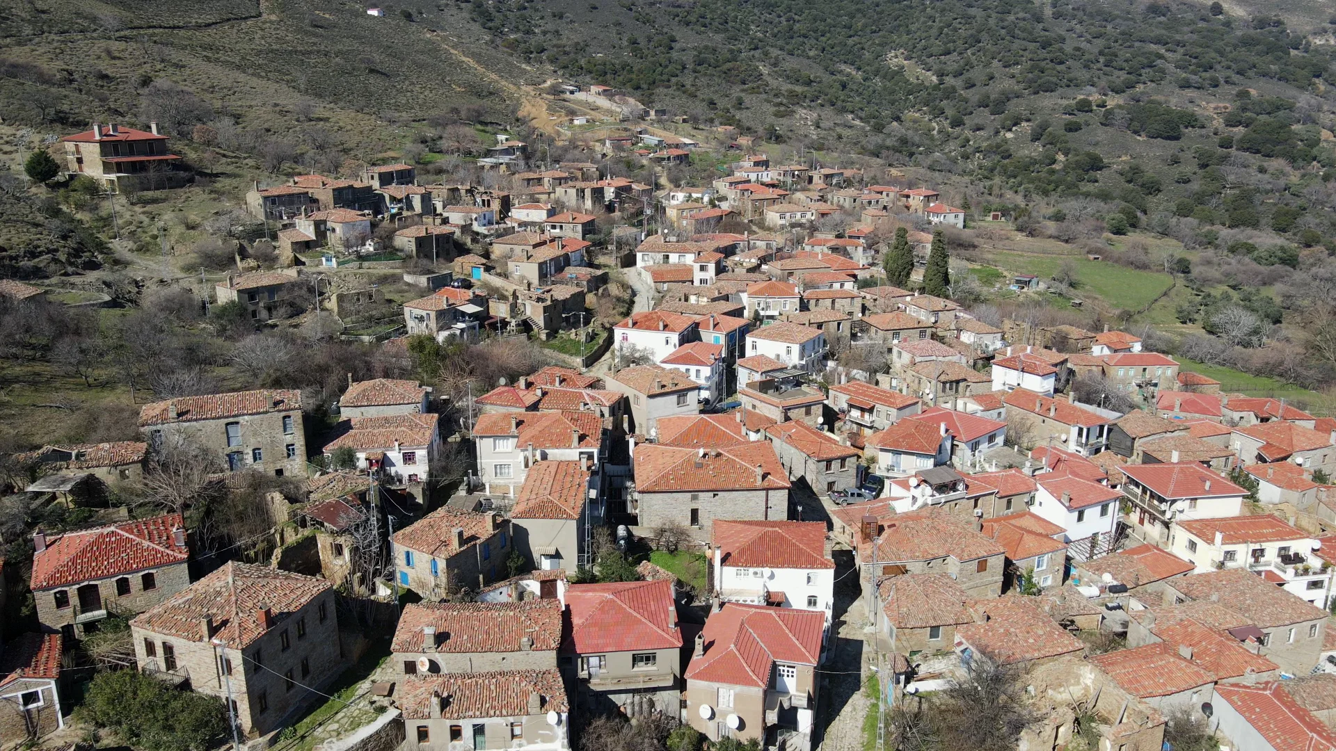 Gökçeada Zeytinliköy