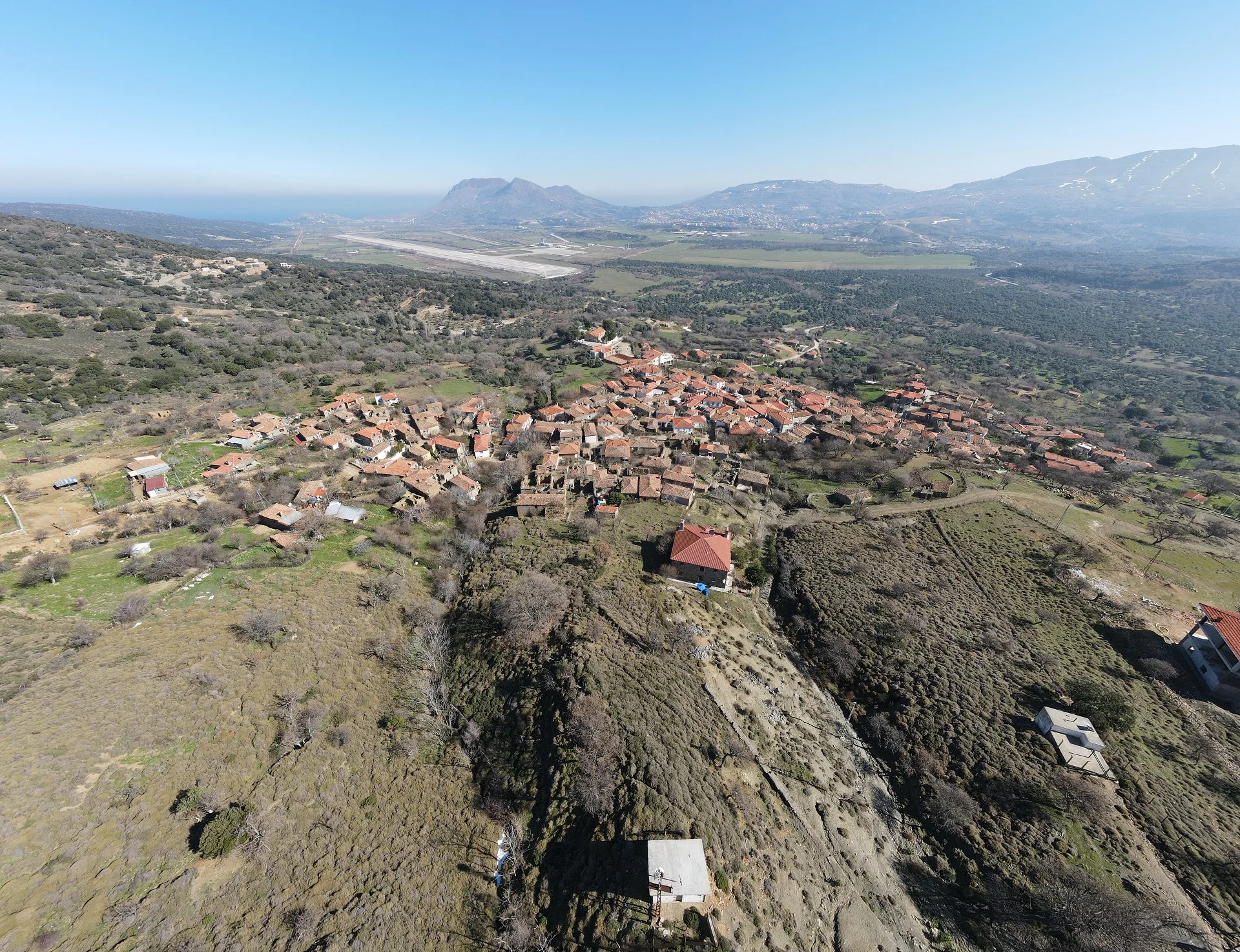 Gökçeada Zeytinliköy