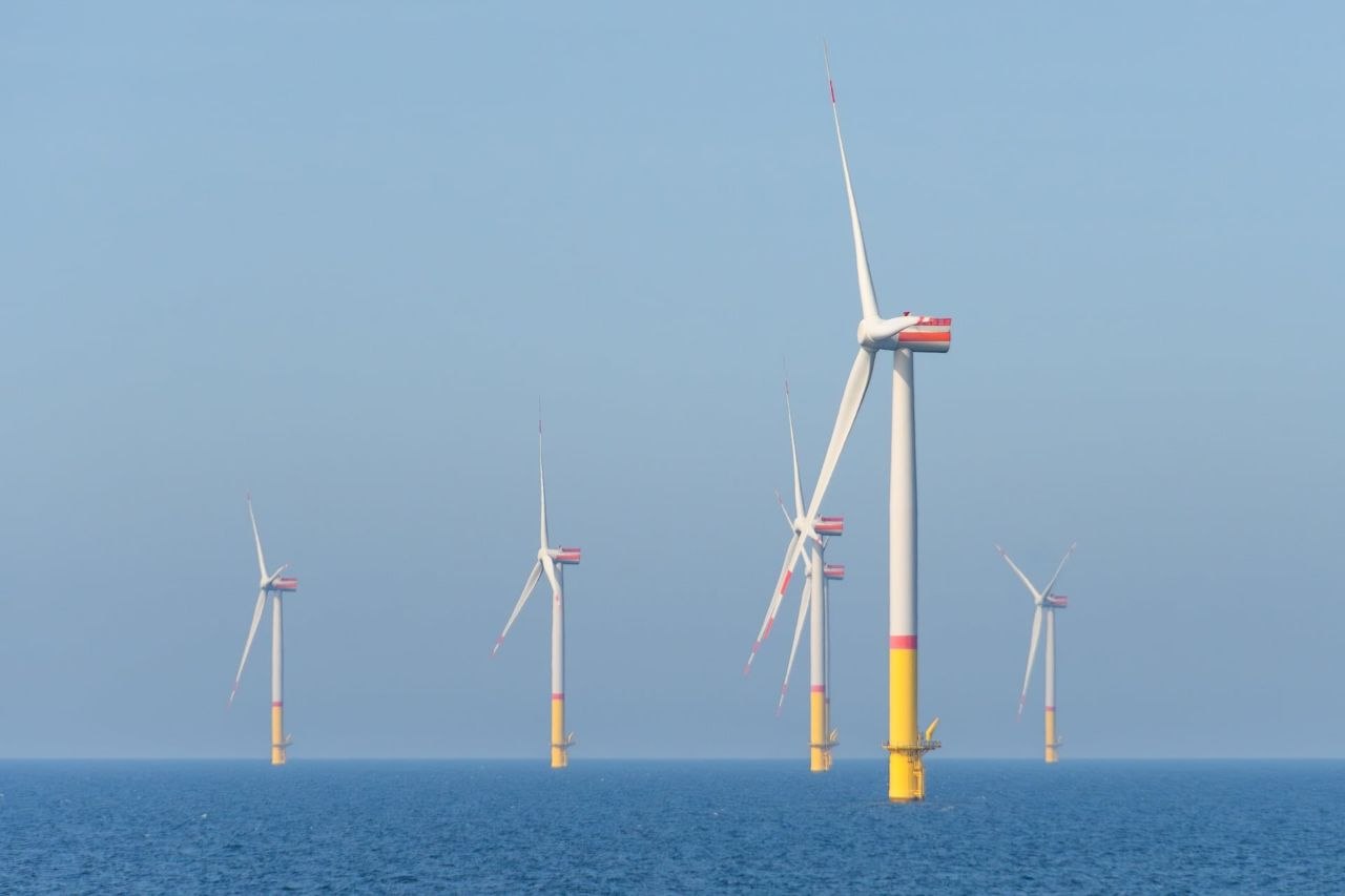 Gökçeada'da Deniz Üstü Rüzgar Türbinleri: Temiz Enerji mi, Ekolojik Risk mi?