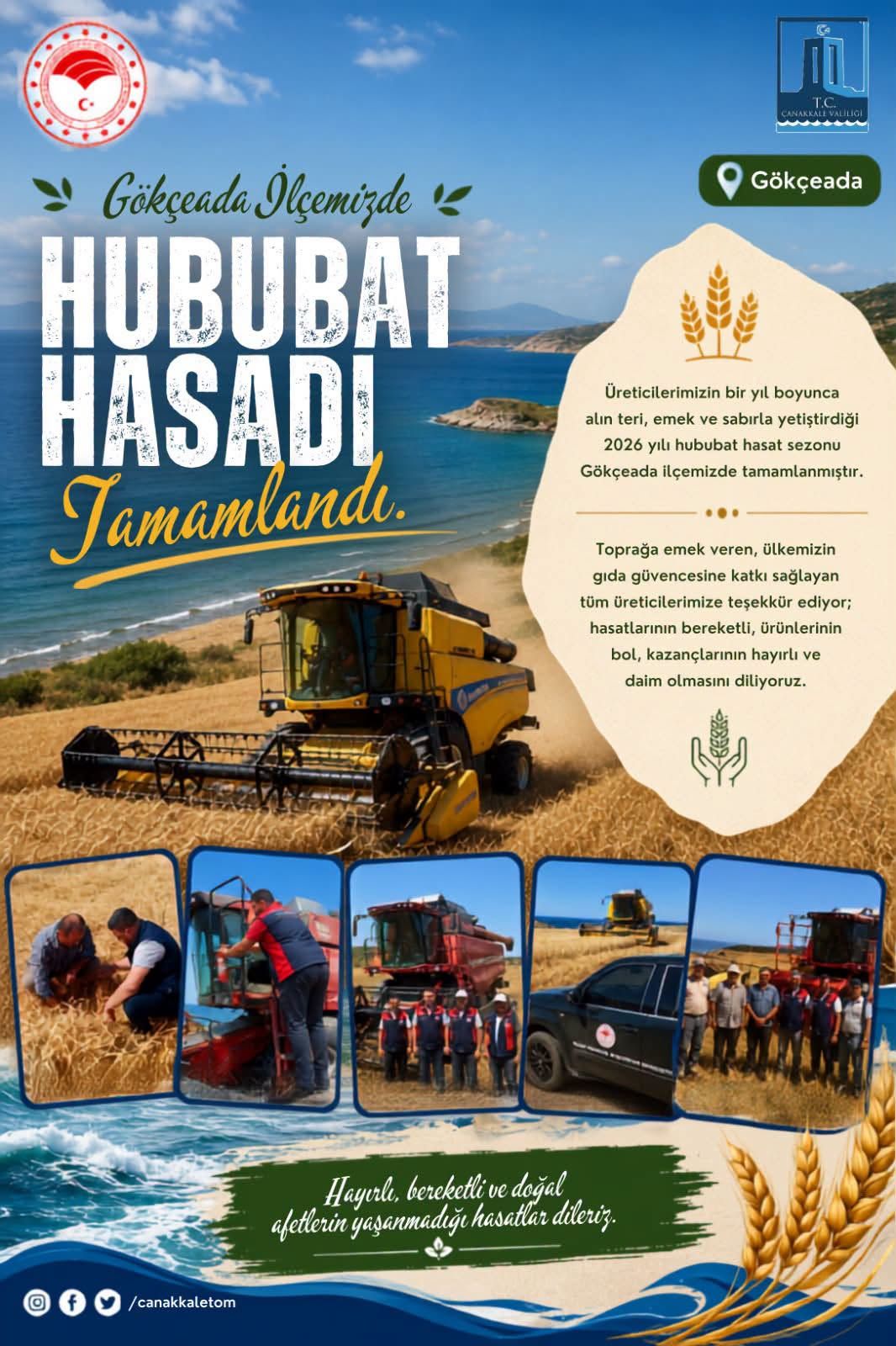 Gökçeada'da 2026 Hububat Hasadı Tamamlandı