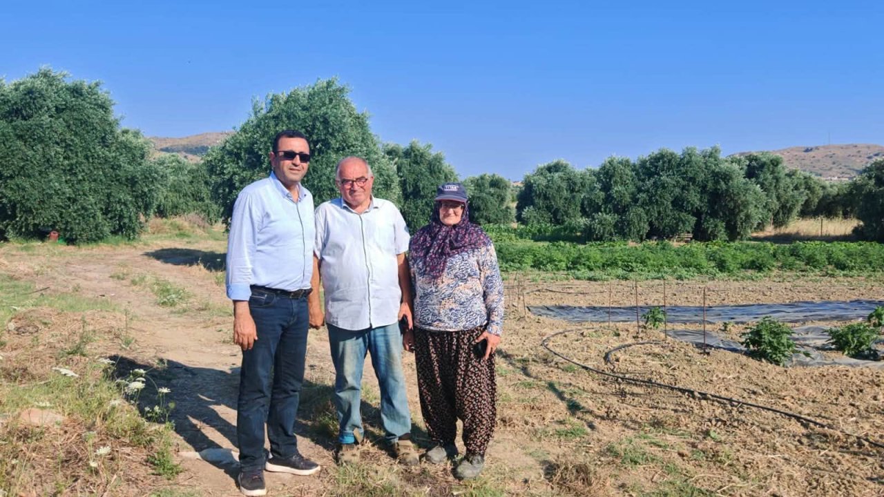 Gökçeada saha incelemesi