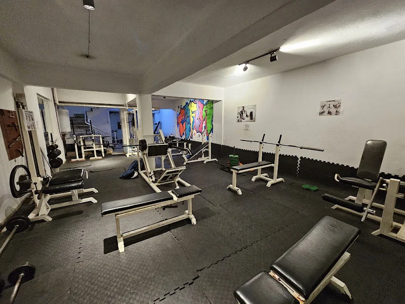 Benkar GYM Fitness (Old School)