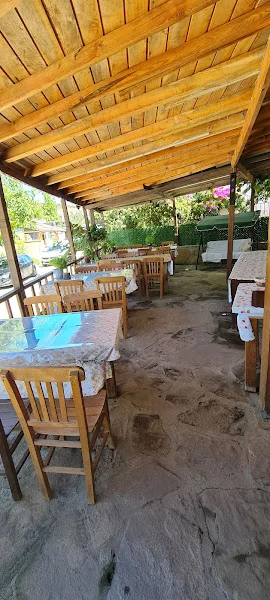 Doğal Pansiyon