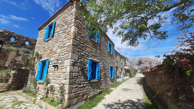 Eflin House Arka Plan