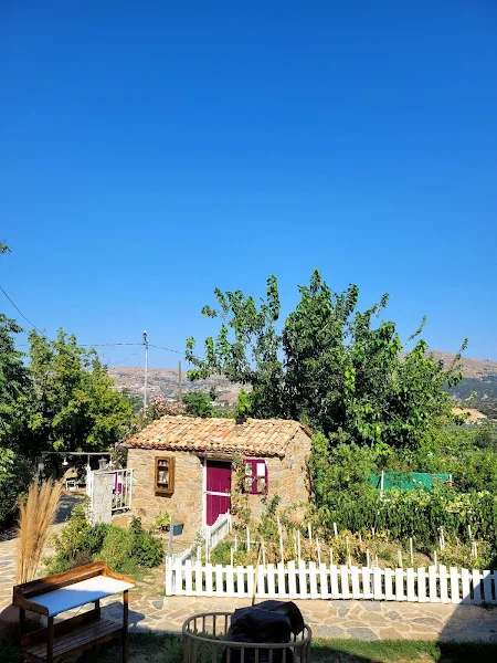 İmroz Kapari