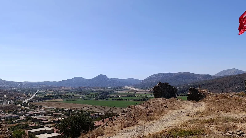 Galeri