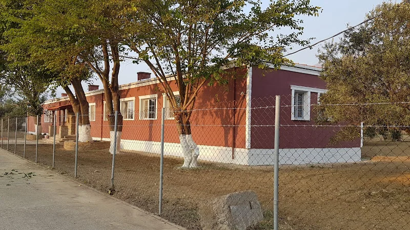 Nympha Organik Bağcılık Şarapçılık