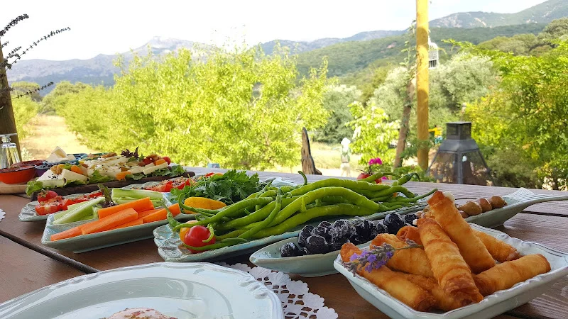 Önder Aile Pansiyonu