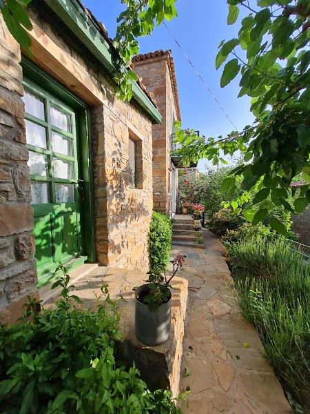 Panayota Evi
