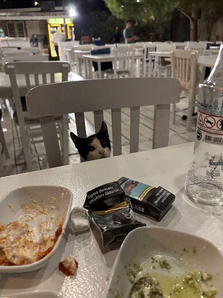 Son Vapur Otel / Restaurant