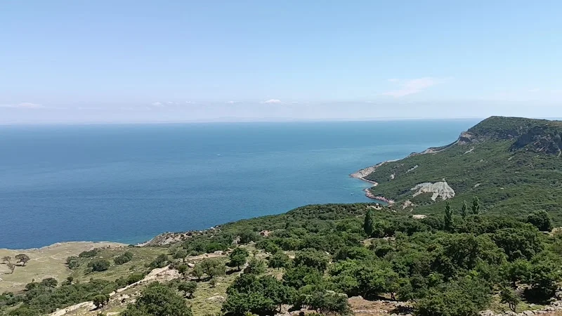 Tepeköy Çınaraltı