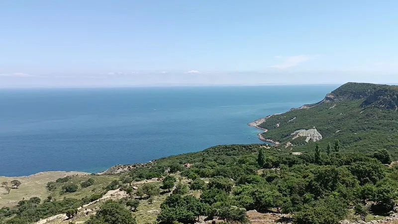 Tepeköy Çınaraltı