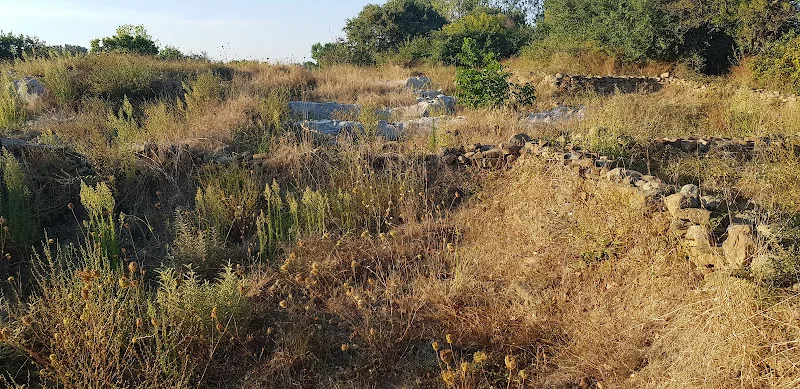 Yeni Bademli Höyük