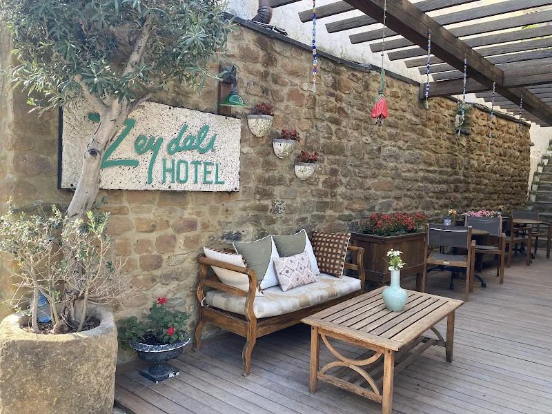 Zeydali Hotel Arka Plan