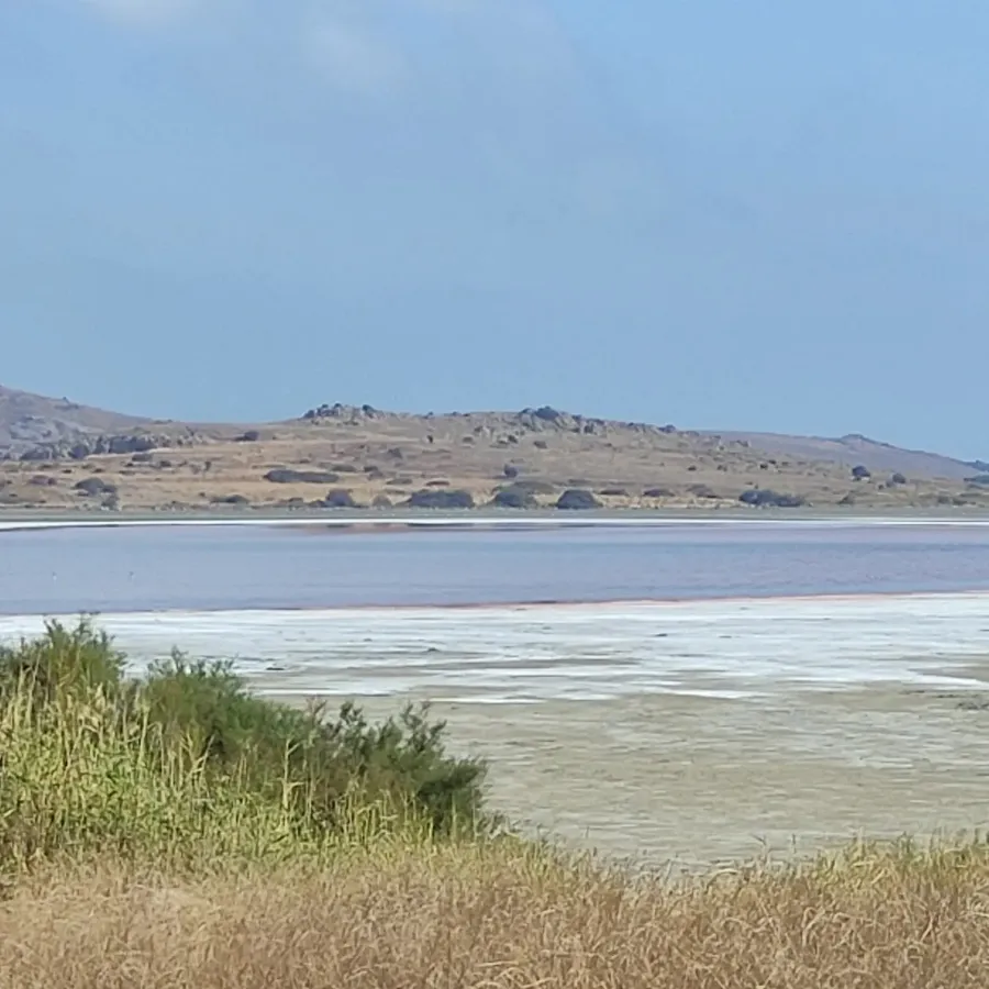 Galeri