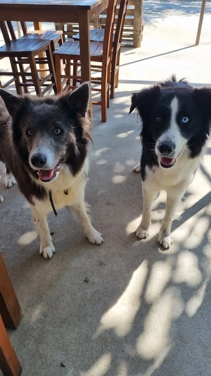 Galeri