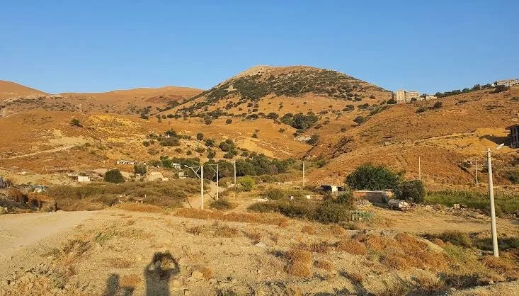Galeri