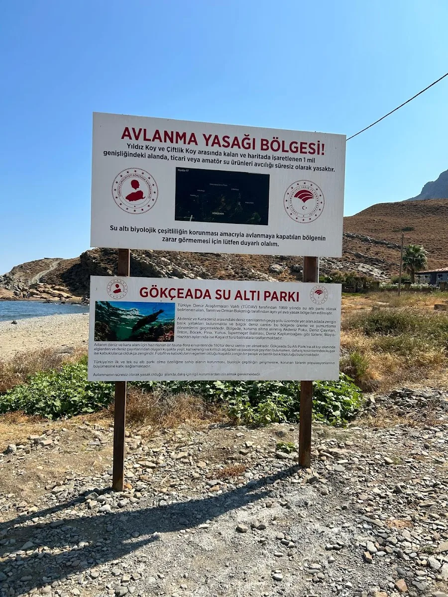 Galeri