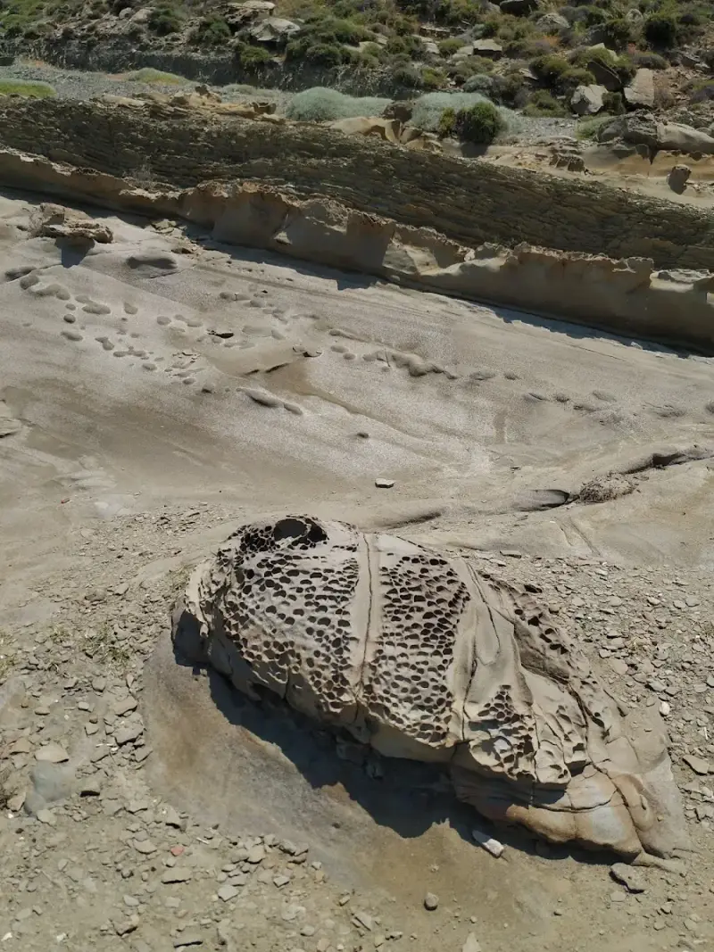 Galeri