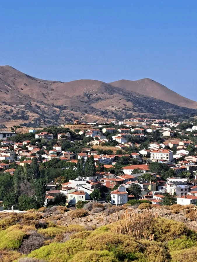 Galeri