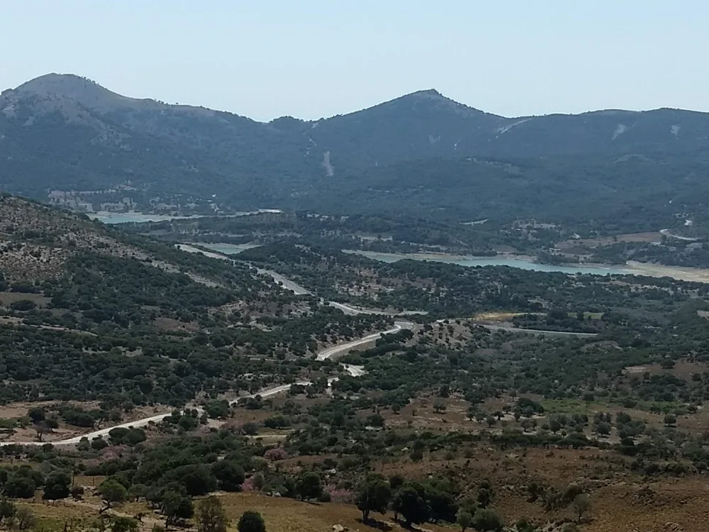 Galeri