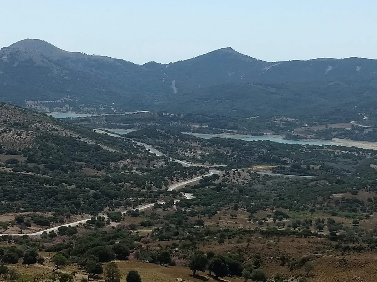 Galeri