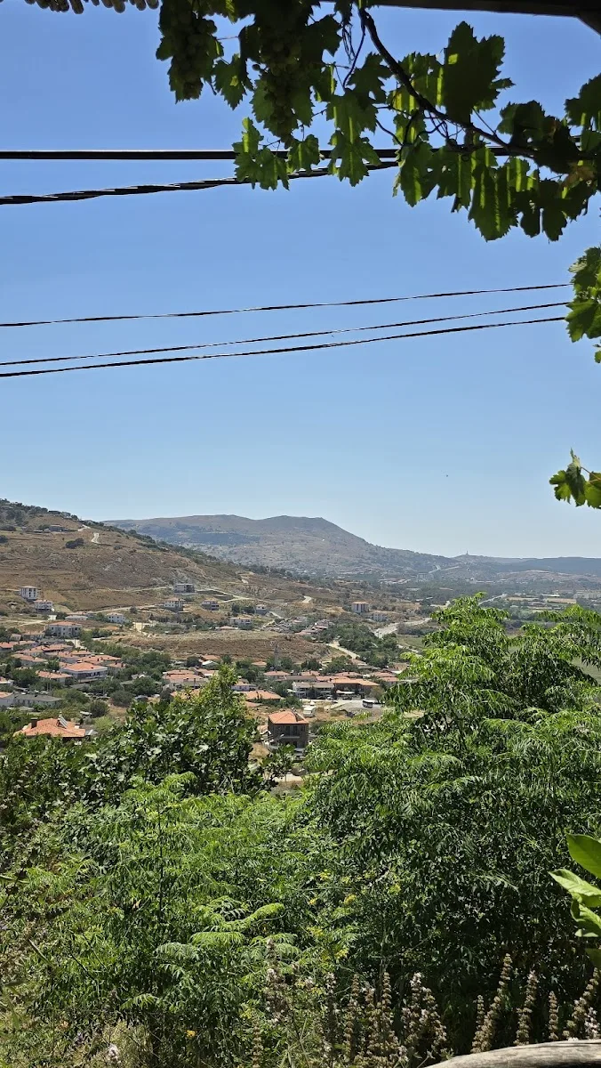 Galeri
