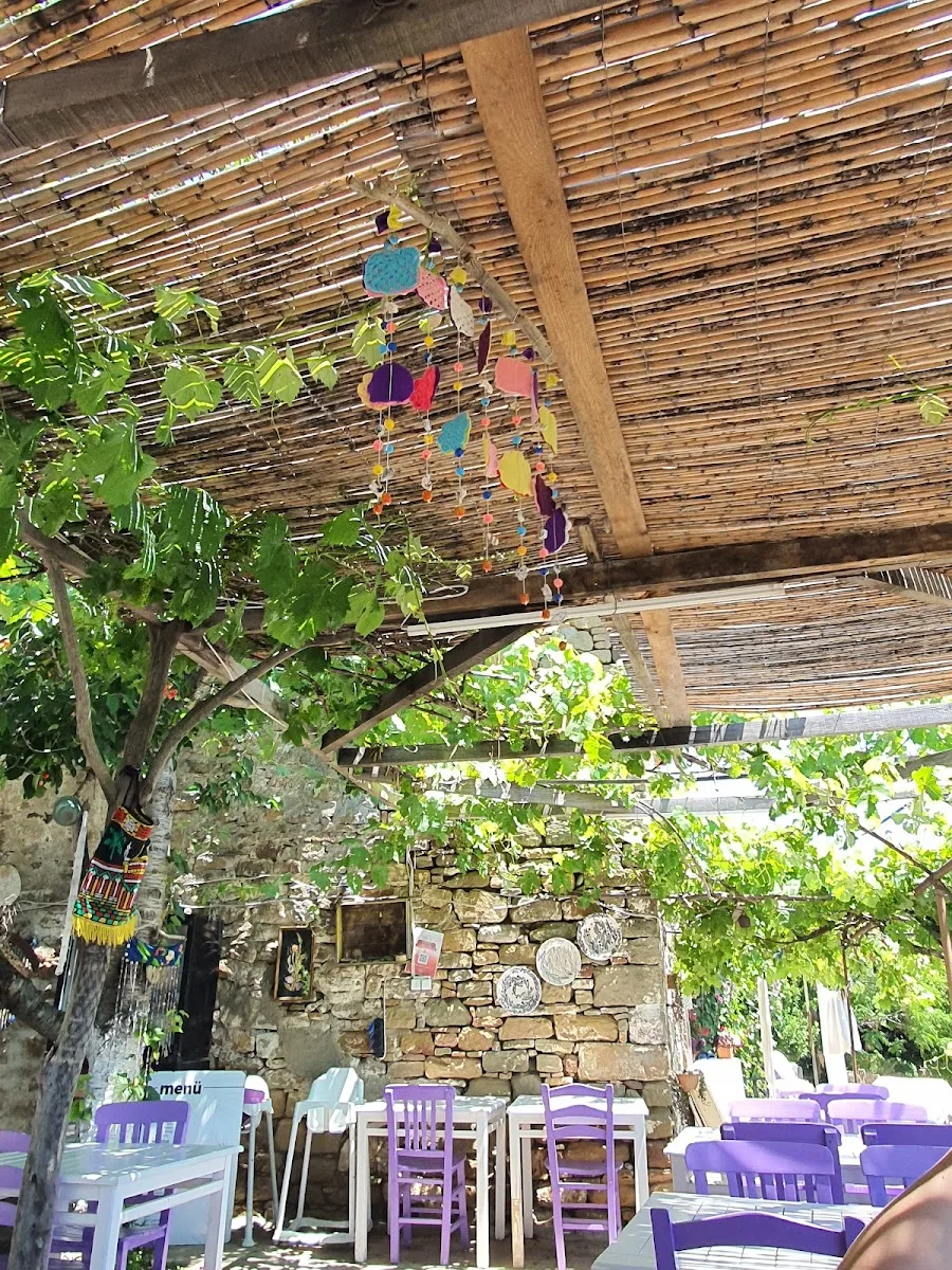 Galeri