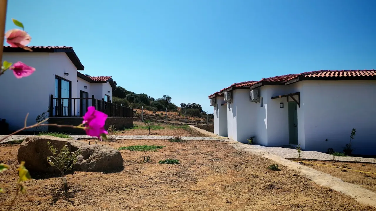Galeri