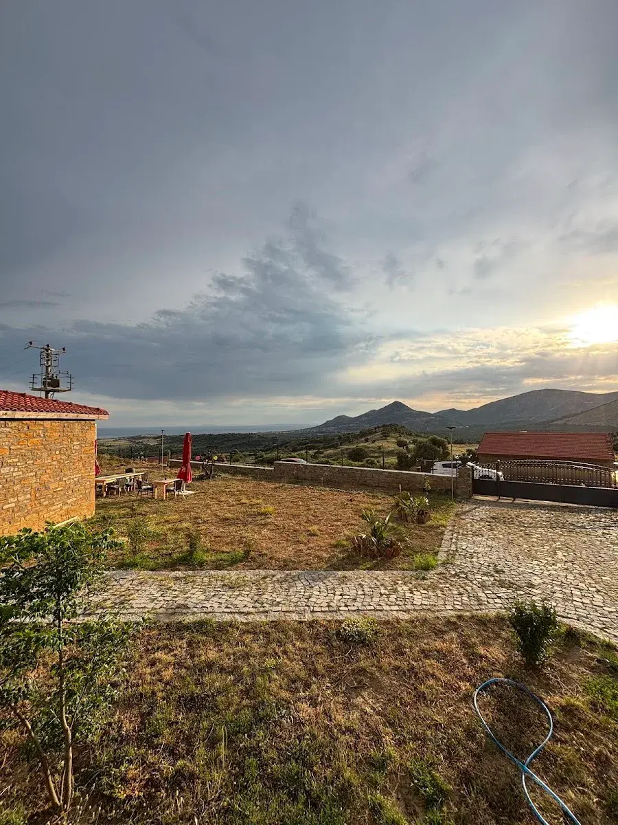 Galeri