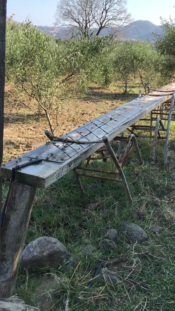 Gökhan'ın Bal Çiftliği