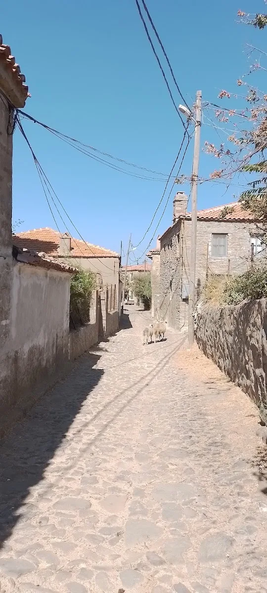 Galeri