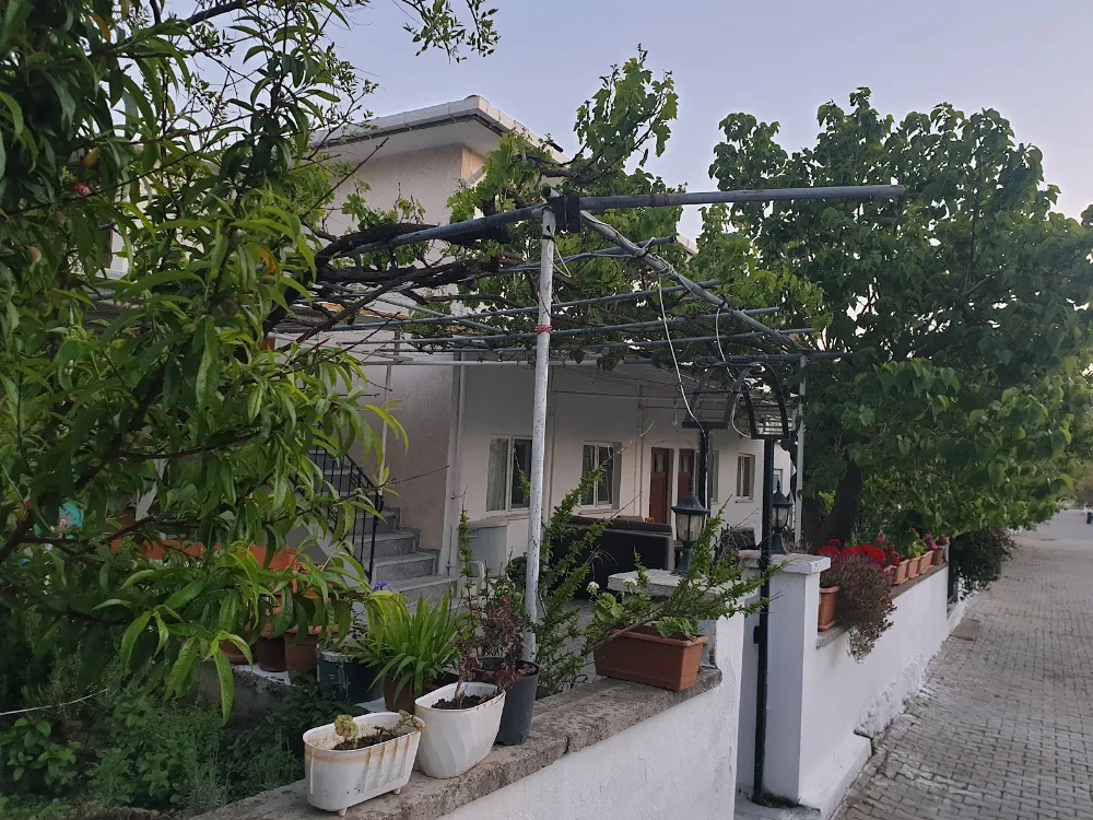 Galeri