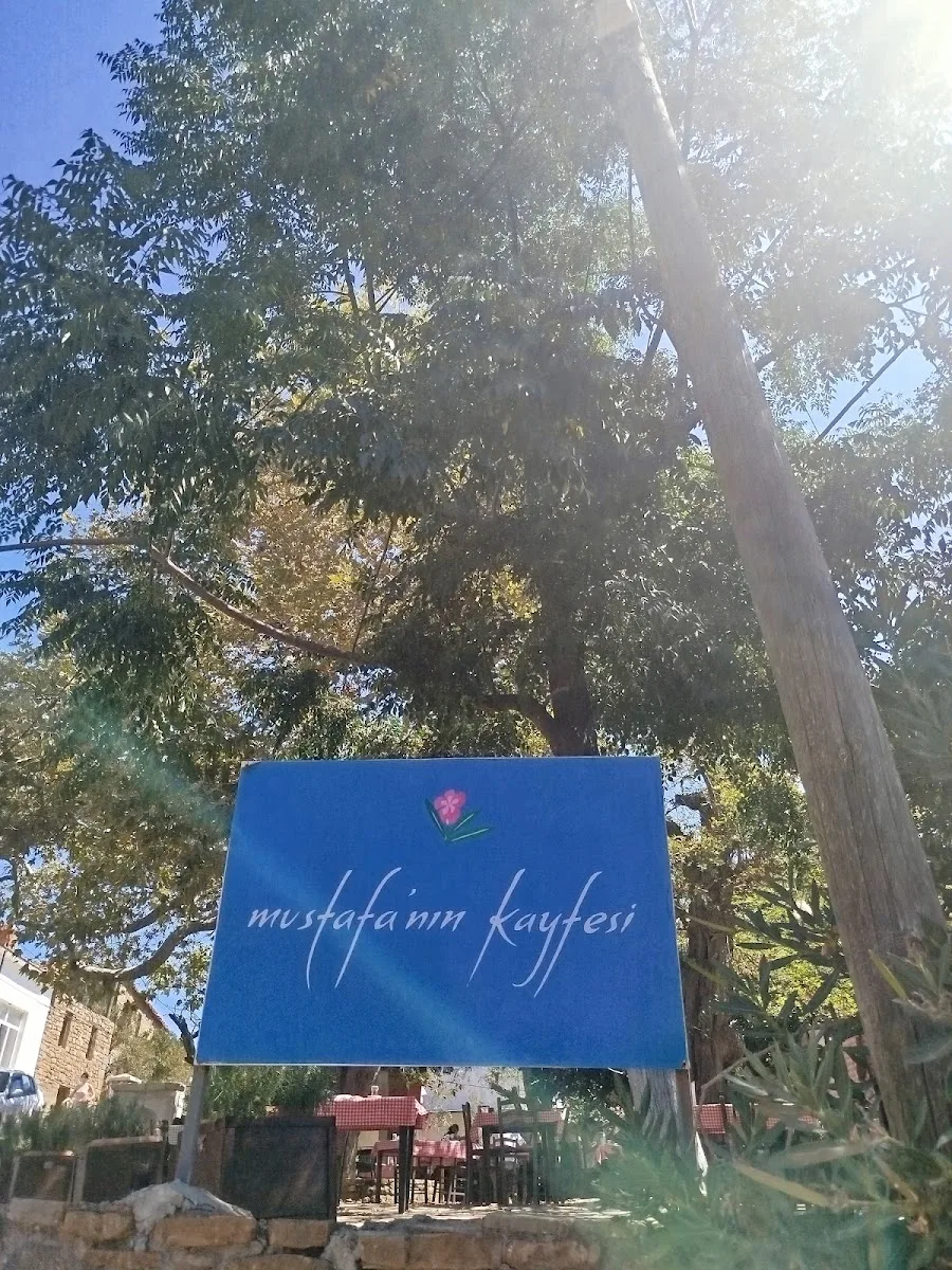 Mustafa'nın Kayfesi